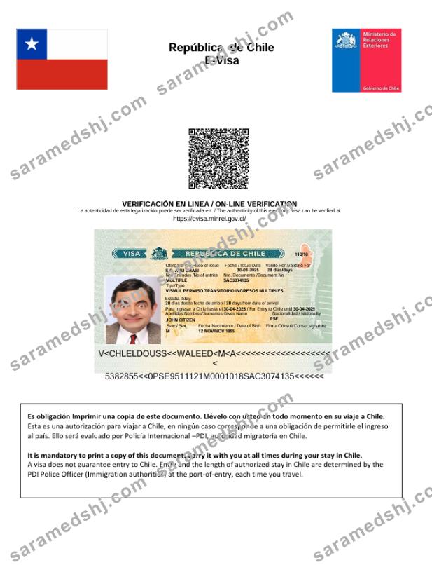 Chile e-visa template in Word and PDF formats